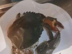 -青蓬蒸汽海鲜·深圳老字号·团建聚会(壹方城店)