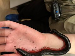 -上海昆虫博物馆