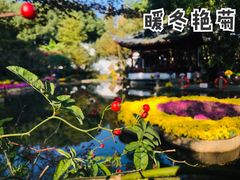-汇龙潭