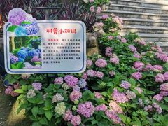 -广西壮族自治区药用植物园