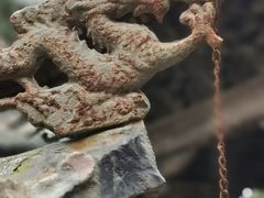 -报恩寺(平武县)