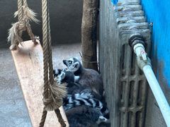 -青藏高原野生动物园