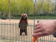 -秦皇岛野生动物园
