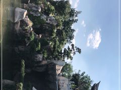 -朱家花园