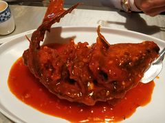 糖醋黄河鲤鱼-鲁城往事(游客中心店)