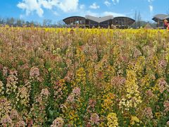 -中国天府农业博览园