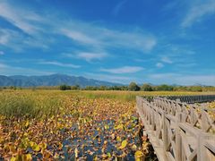 -野鸭湖国家湿地公园
