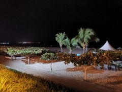 -渔家火锅·海鲜自助餐·演艺(亚龙湾天域酒店)