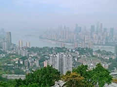 -南山植物园
