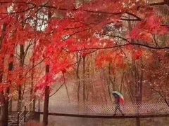 -五女山景区