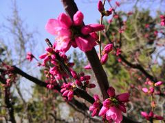 -海棠花溪(元大都城垣遗址公园)