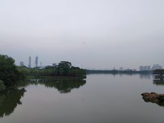 -顺峰山公园