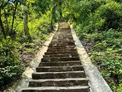 -岳麓山风景名胜区