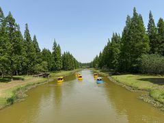 -黄海国家森林公园