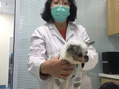 -瑞派·关忠动物医院·异宠专科·犬猫肿瘤·皮肤专科(望京店)