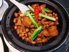 花生猪尾煲-鑫悦楼煎蟹·16年海鲜大排档