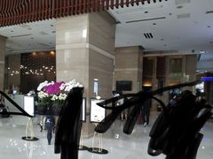 -长沙小天鹅戴斯酒店