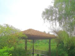 -桤木河湿地公园