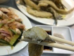 椒鹽九肚魚-陈根记大牌档