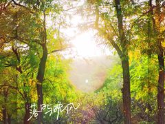 -北京凤凰岭
