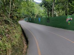 -西双版纳原始森林公园