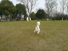 -九里河湿地公园