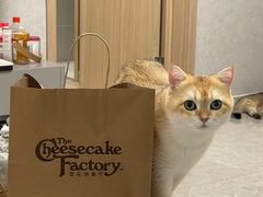 -The Cheesecake Factory 芝乐坊餐厅(王府中環店)