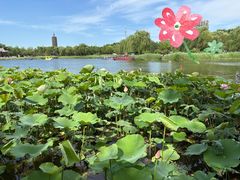 -西海子公园