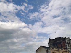 -文昌鸡饭店110号(中山路店)