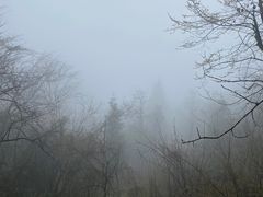-九峰山