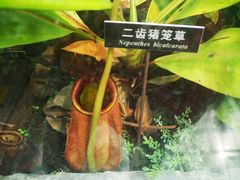 -国家植物园南园