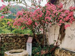 -广东天露山旅游度假区