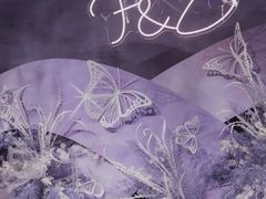 -艾拉私人定制婚礼