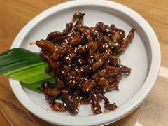 -枣子树·素食餐厅(普陀山店)