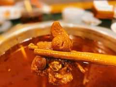 -冯记香辣兔火锅(茶店子总店)