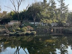 -秋霞圃