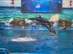 -多彩贵州城极地海洋世界