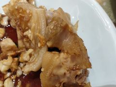-海王老记