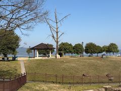 -余姚四明湖开元名都度假酒店·夏威夷西餐厅