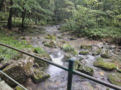 -关门山森林公园