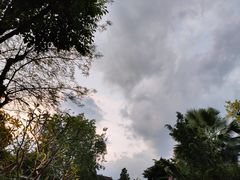 -西双版纳洲际度假酒店兰吧