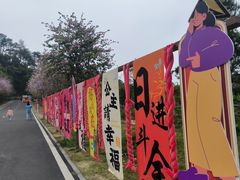 -白云山风景名胜区