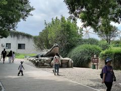 -石家庄市动物园