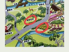 -上海滨江森林公园