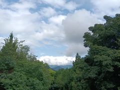 -北京西山国家森林公园