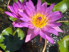 -三亚南山文化旅游区