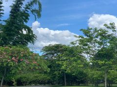 -中国科学院西双版纳热带植物园