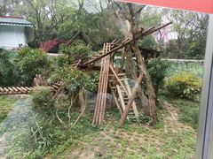 -柳州市动物园