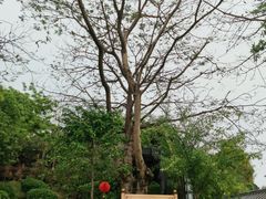 -广州神农草堂中医药博物馆