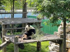 -西霞口神雕山野生动物世界